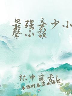 最强弃少小说有声小说