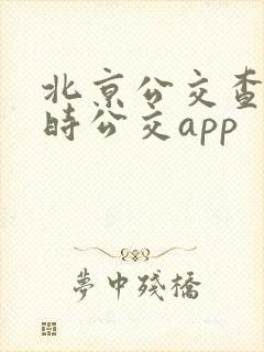 北京公交查询实时公交app