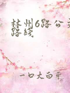 林州6路公交车路线