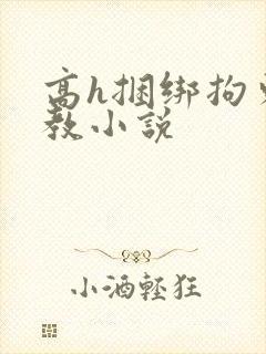 高h捆绑拘束调教小说