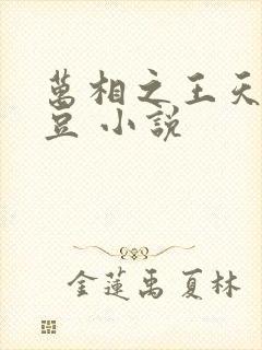 万相之王天蚕土豆 小说