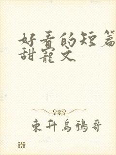 好看的短篇言情甜宠文