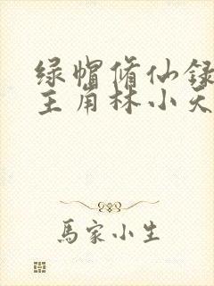 绿帽修仙录小说主角林小天的小说