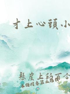 才上心头小说