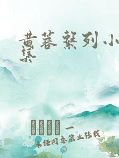 黄蓉系列小说合集