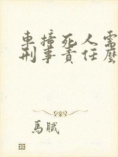车撞死人需要负刑事责任么 车撞死人需要负刑事责任么