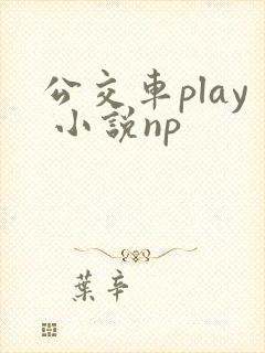公交车play 小说np
