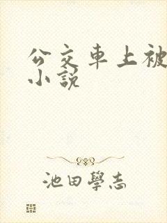 公交车上被猥琐小说