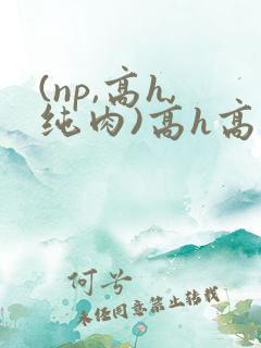 (np,高h,纯肉)高h高辣bl