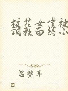 校花女仆被灌满调教白丝小说