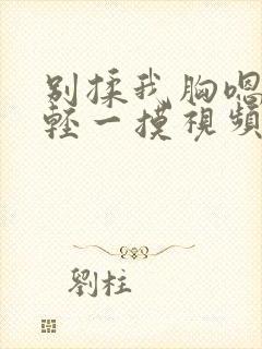 别揉我胸嗯啊轻轻一摸视频