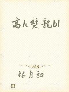 高h双龙bl