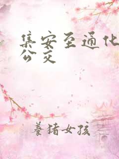 集安至通化城际公交