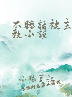 不听话被主人调教小说