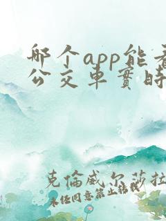 哪个app能看公交车实时位置