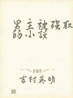 男主被强取豪夺的小说
