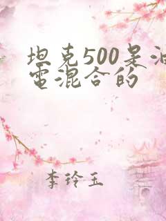 坦克500是油电混合的 坦克500是油电混合的