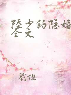 陆少的隐婚罪妻全文 陆少的隐婚罪妻全文