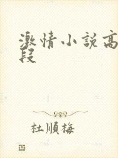 激情小说高潮片段 激情小说高潮片段