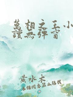 万相之王小说阅读无弹窗