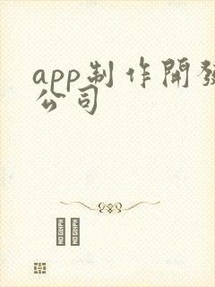 app制作开发公司 app制作开发公司