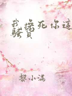 我操死你这个小骚货
