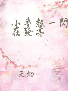 小梦想一闪一闪在发亮