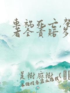 车祸死亡,肇事者全责赔多少