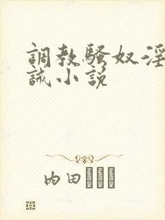 调教骚奴淫刑训诫小说