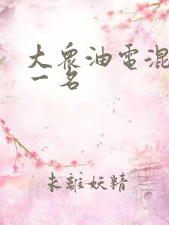 大众油电混动第一名