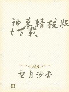 神墓精校版txt下载