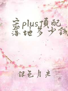 宋plus顶配落地多少钱