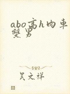 abo高h肉车双男
