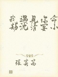 我遇见你命中此劫沈清宴小说
