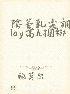 阴蒂乳尖调教play高h捆绑