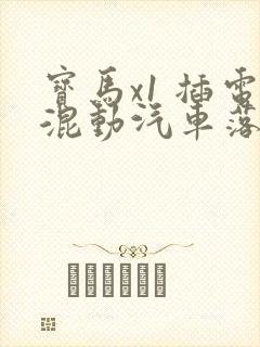 宝马x1 插电混动汽车落地价