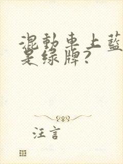 混动车上蓝牌还是绿牌?