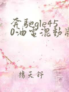 奔驰gle450油电混动版 奔驰gle450油电混动版