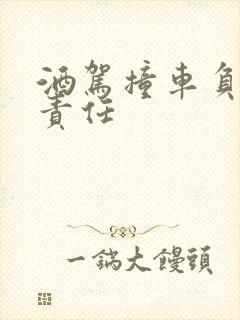 酒驾撞车负什么责任