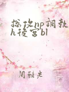 总攻np调教高h后宫bl