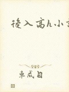 后入高h小说