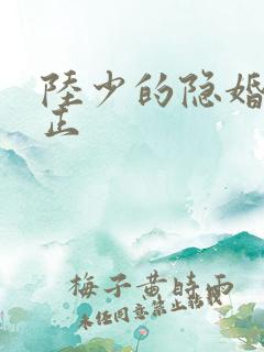 陆少的隐婚罪妻正