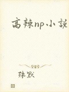 高辣np小说h