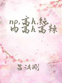 np,高h,纯肉高h高辣