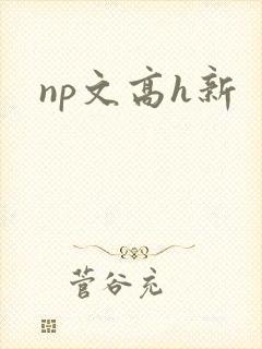 np文高h新 np文高h新