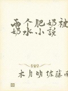 两个肥奶被揉出奶水小说