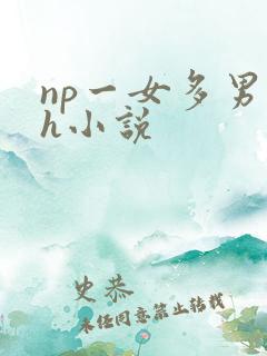 np一女多男高h小说