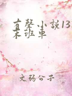 有声小说13路末班车