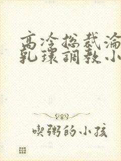高冷总裁沦为奴乳环调教小说