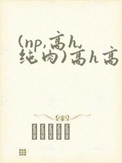 (np,高h,纯肉)高h高辣男男